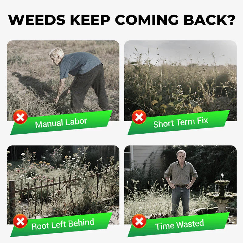 Cyclosinone Herbicide Granules | 🔥BUY 1 GET 1 FREE🔥